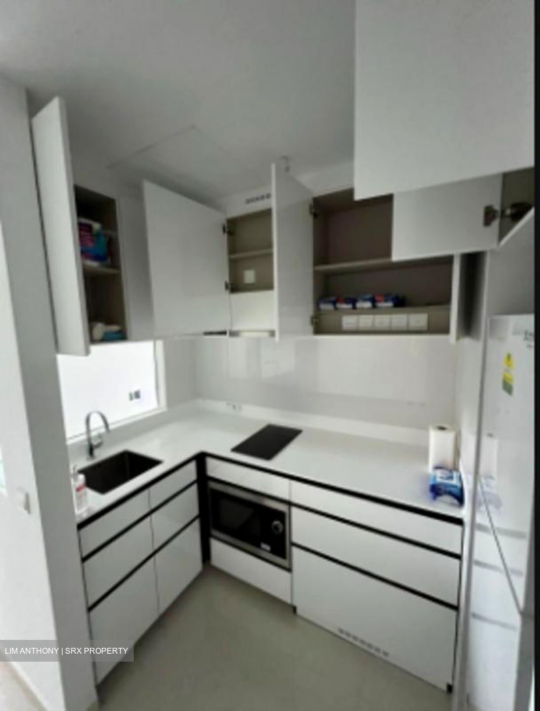 Parc Botannia (D28), Condominium #509438031